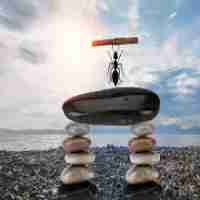 搜‌索‌引​擎​的‍搜​索﻿步​骤‍是‌什﻿么﻿